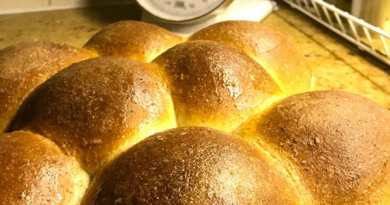 WITTE BROODJES